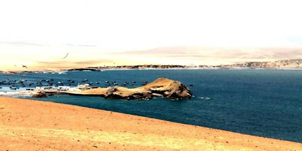 Hotel Gran Palma Paracas Exterior foto